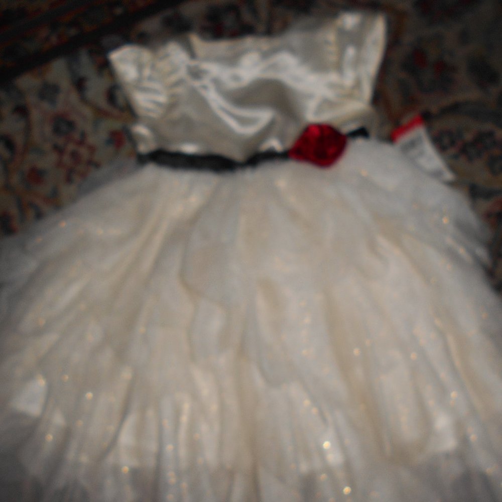12month dress